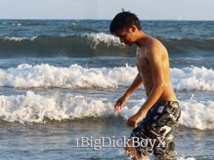 1BigDickBoyX