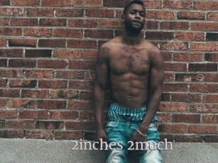2inches_2much