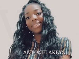 ANTONELAKEYS