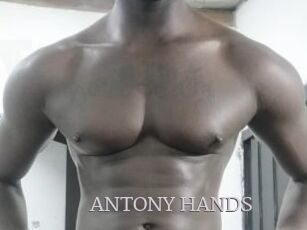 ANTONY_HANDS