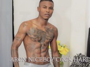 ARON_NICEBOY_COCK_HARD