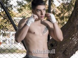 AdamBull