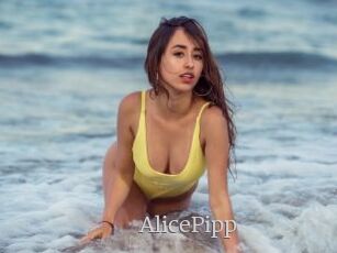 AlicePipp