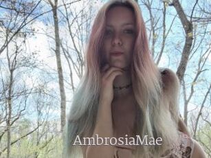 AmbrosiaMae