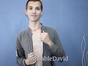 AmiableDavid
