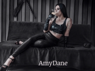 AmyDane Vidéo Beurettes