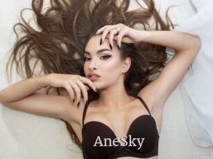 AneSky