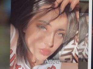 Aneu