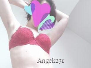 Angek23r