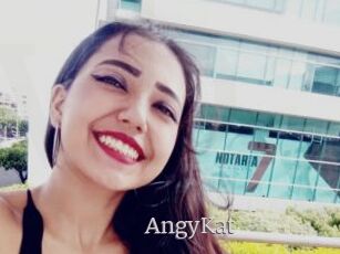 AngyKat