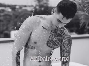AnibalNavarro