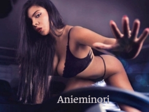 Anieminori