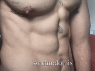 Anthrodomis