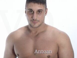 Antoan