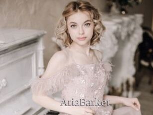 AriaBarket