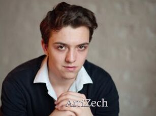 ArtiZech