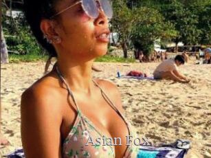 Asian_Fox