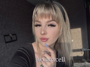 Accaexcell