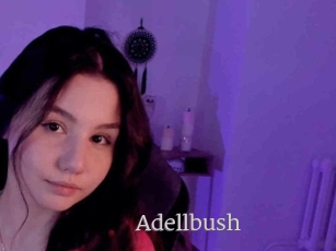 Adellbush