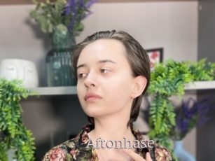 Aftonhase