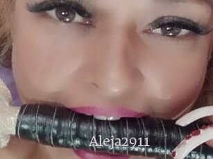 Aleja2911