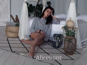 Alicebunt