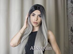 Alicequin
