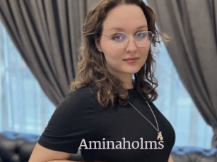 Aminaholms