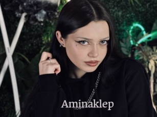Aminaklep