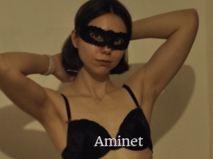 Aminet
