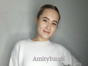 Amitybarris