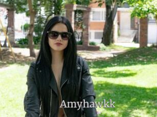 Amyhawkk