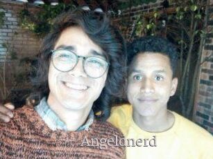 Angeldnerd