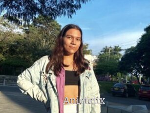 Aniefelix