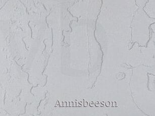 Annisbeeson