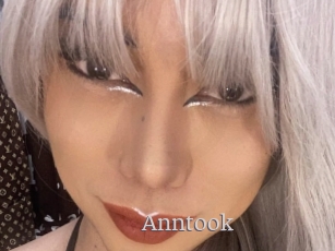 Anntook