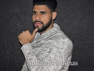 Anthonybrahmas