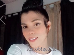Antobigcock