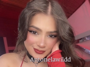 Antonelawildd