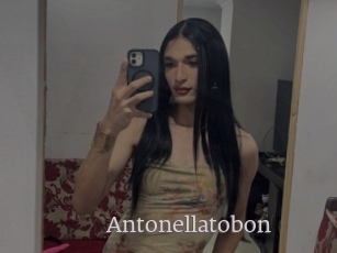 Antonellatobon