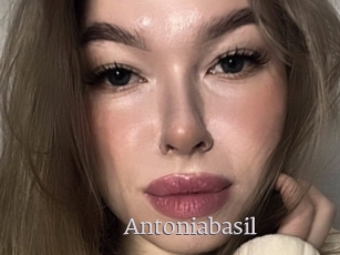 Antoniabasil
