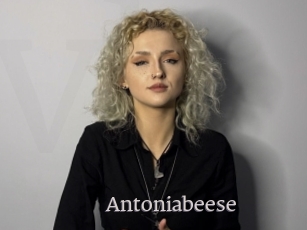 Antoniabeese