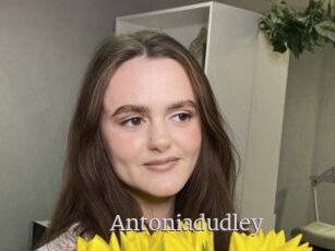 Antoniadudley