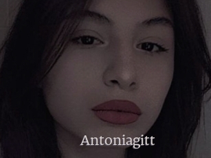 Antoniagitt
