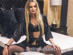 Antoniahaart