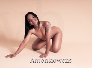 Antoniaowens