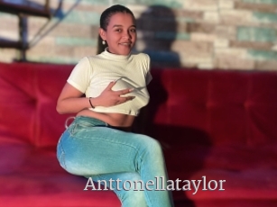 Anttonellataylor