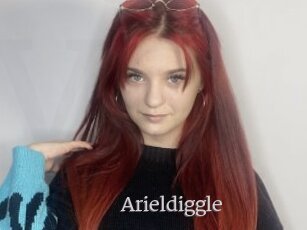 Arieldiggle