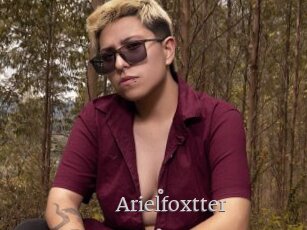 Arielfoxtter