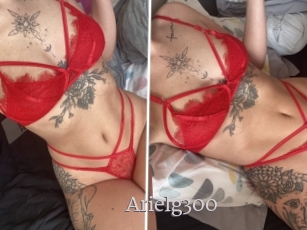 Arielg300